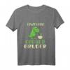 Kinder Einzelkind Großer Bruder 2024 Dinosaurier T-Shirt - Perfekt zur Babyankündigung & Geburt des Nachwuchses