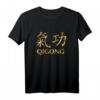 Qigong Chinesische Symbole Qi Gong Chakra Zen Tai Chi T-Shirt – Spirituelle Meditation, Taoismus & Buddhismus Geschenk für Männer und Frauen