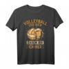 Volleyball und Bier Darum Bin Ich Hier - Lustiges Beachvolleyball Team- und Biertrinker T-Shirt für Volleyballfans, Trainer & Eltern