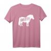 Shetty Shetland Pony Pferd Reiterin Damen Mädchen T-Shirt - Lustiges Geschenk für Pony-Liebhaber und Reiterinnen