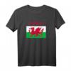 Wales 'Cymru' Welsh Flag Proud T-Shirt for Rugby & Supporters - Celebrate St David's Day & Welsh Heritage
