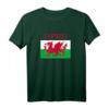 Wales 'Cymru' Welsh Flag Proud T-Shirt for Rugby & Supporters - Celebrate St David's Day & Welsh Heritage
