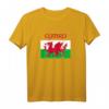 Wales 'Cymru' Welsh Flag Proud T-Shirt for Rugby & Supporters - Celebrate St David's Day & Welsh Heritage