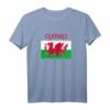 Wales 'Cymru' Welsh Flag Proud T-Shirt for Rugby & Supporters - Celebrate St David's Day & Welsh Heritage