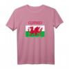 Wales 'Cymru' Welsh Flag Proud T-Shirt for Rugby & Supporters - Celebrate St David's Day & Welsh Heritage