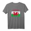Wales 'Cymru' Welsh Flag Proud T-Shirt for Rugby & Supporters - Celebrate St David's Day & Welsh Heritage