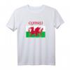 Wales 'Cymru' Welsh Flag Proud T-Shirt for Rugby & Supporters - Celebrate St David's Day & Welsh Heritage