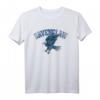 Ravenclaw Sport Emblem T-Shirt - Official Harry Potter Warner Bros Lizenzprodukt für Fans und Geburtstagsgeschenke