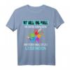 Lustiges Malermeister T-Shirt mit Spruch – Perfektes Geschenk für Maler, Lackierer, Azubis & Meister