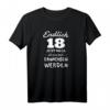 Lustiges 18. Geburtstag T-Shirt für Mädchen & Jungen – Perfekte Geschenkidee zur Volljährigkeit und Feier